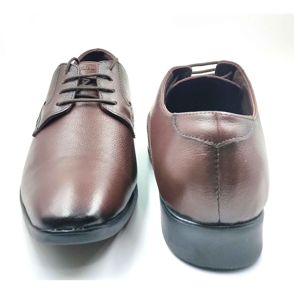 2341 Balujas Men's Brown Derby Shoes