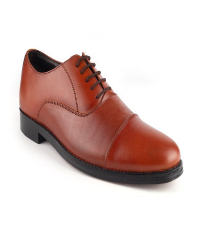 1081 Balujas Men Tan Oxford Shoes